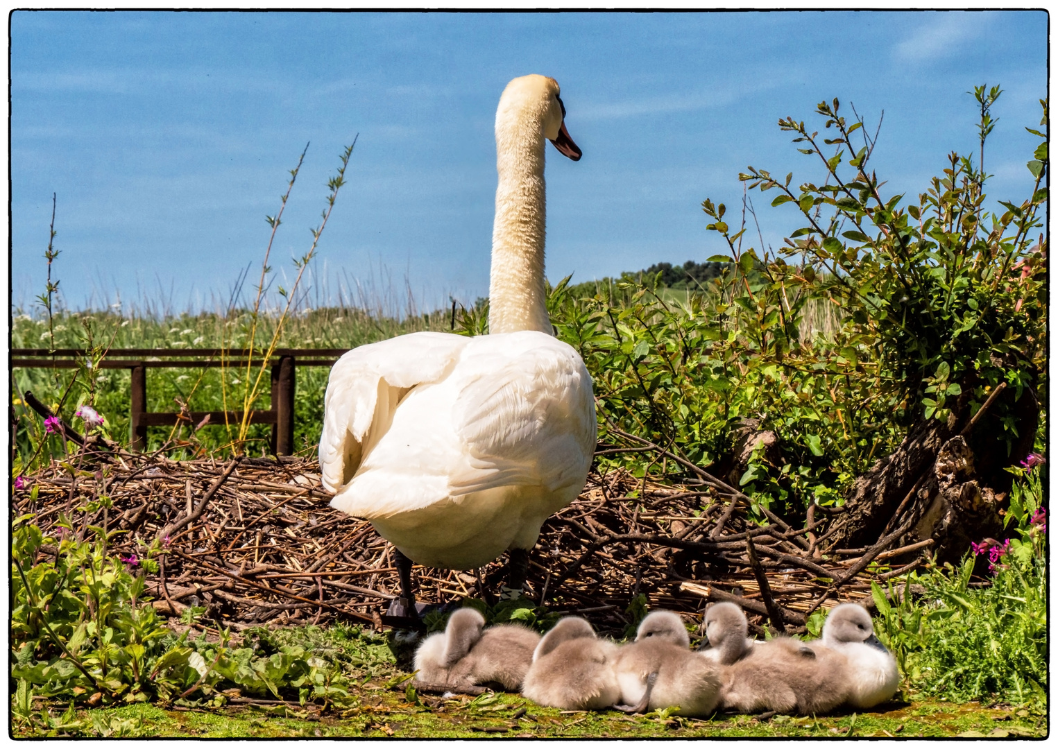 Aufwärmen in der Sonne