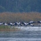 Aufwärmphase vor dem Abflug