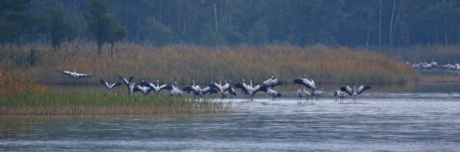 Aufwärmphase vor dem Abflug