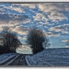 Aufwärts Richtung Winterhimmel