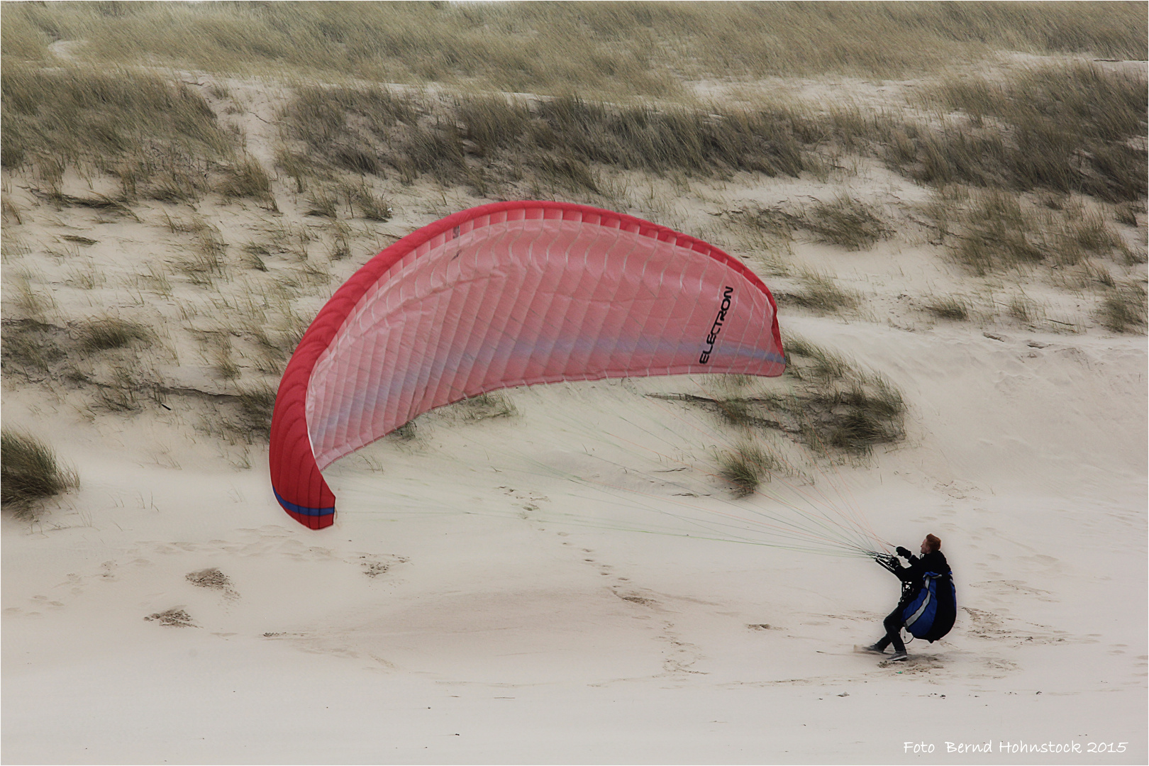 Aufwind ...... Strandläufer