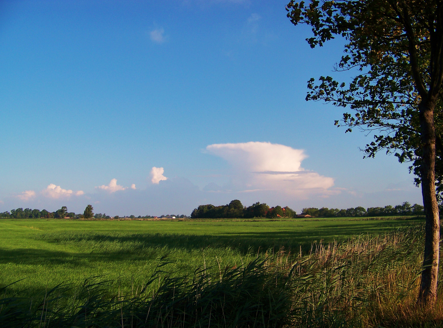 aufziehende Gewitter