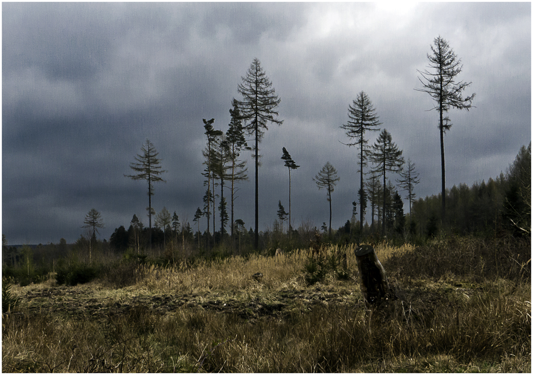 Aufziehende Regenfront...