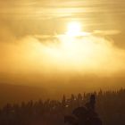 aufziehender Eisnebel im Sonnenaufgang