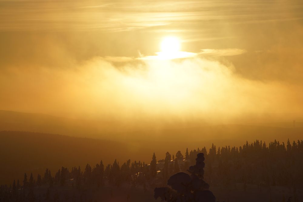 aufziehender Eisnebel im Sonnenaufgang