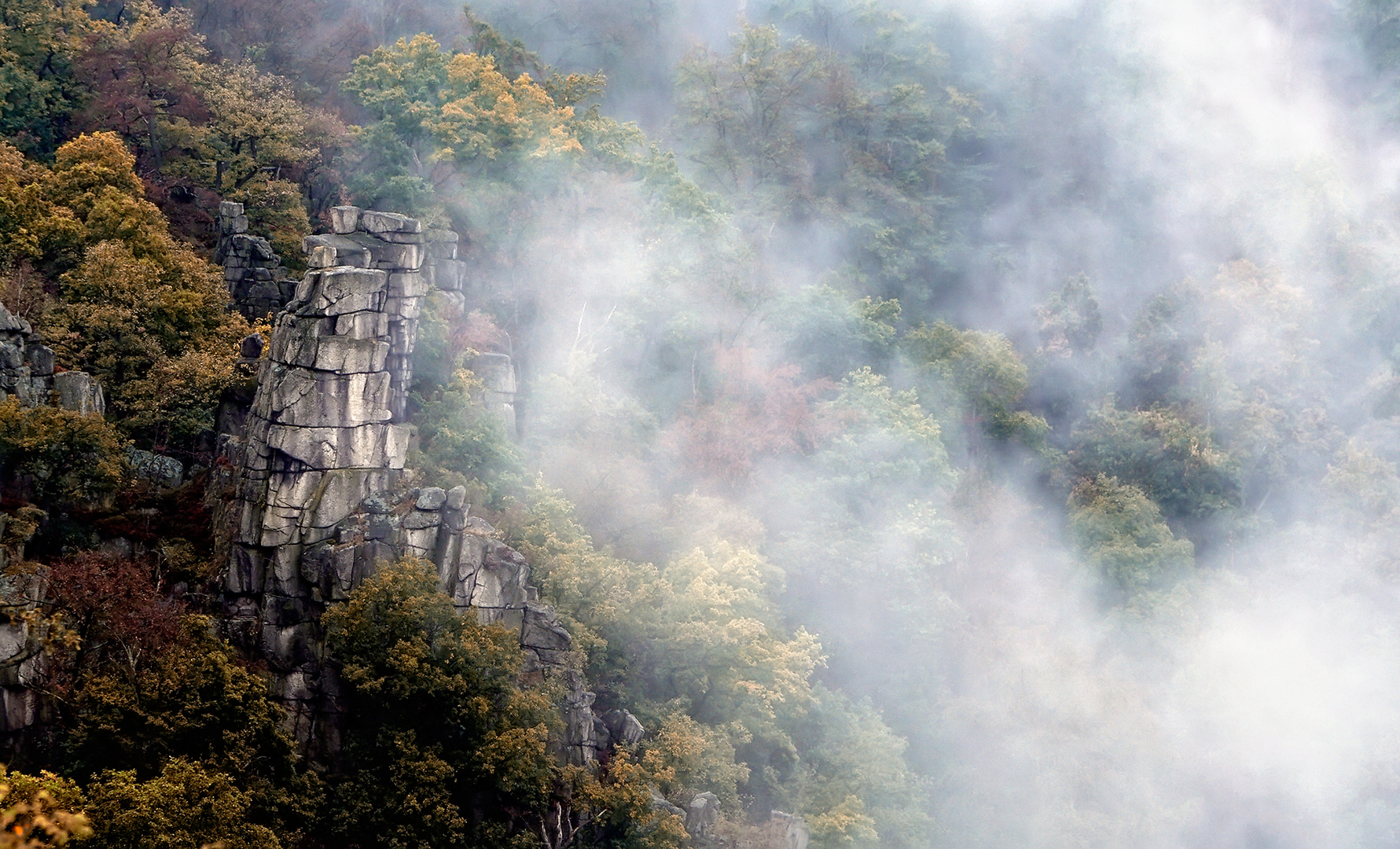 Aufziehender Nebel