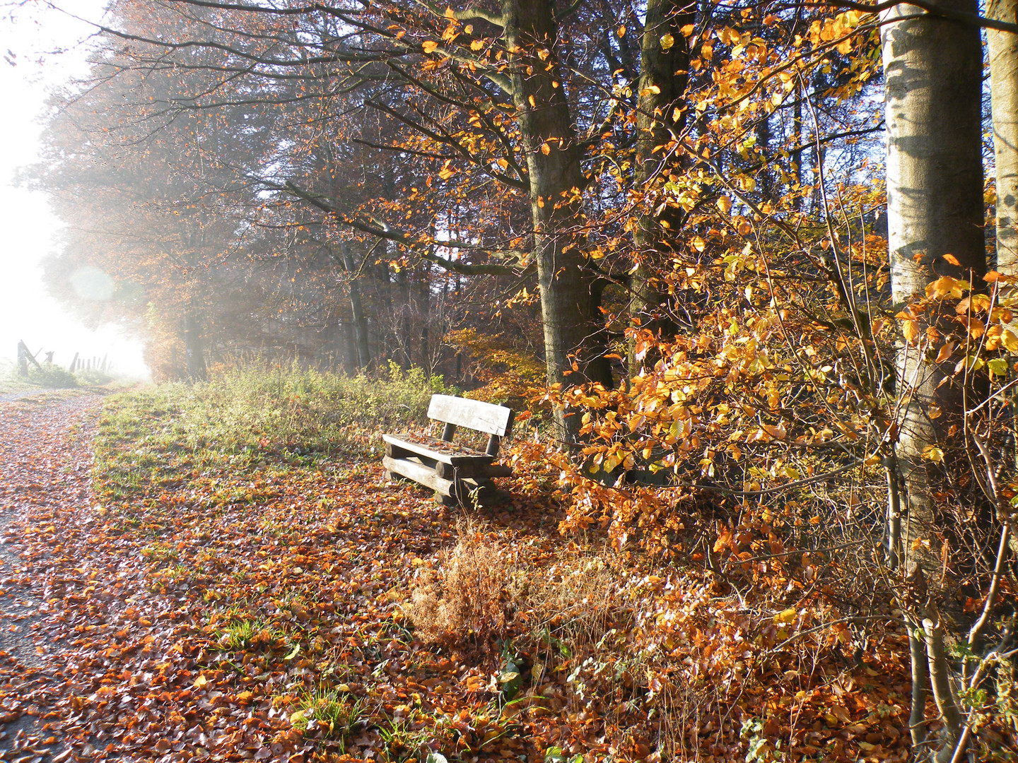 Aufziehender Nebel