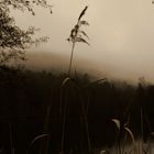 Aufziehender Nebel am See 2.1.16