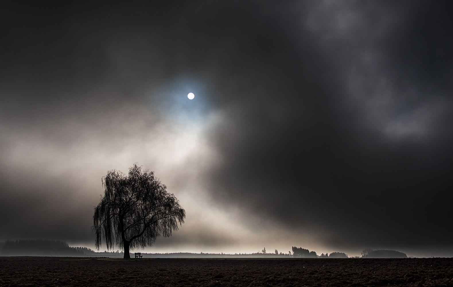 aufziehender nebel 