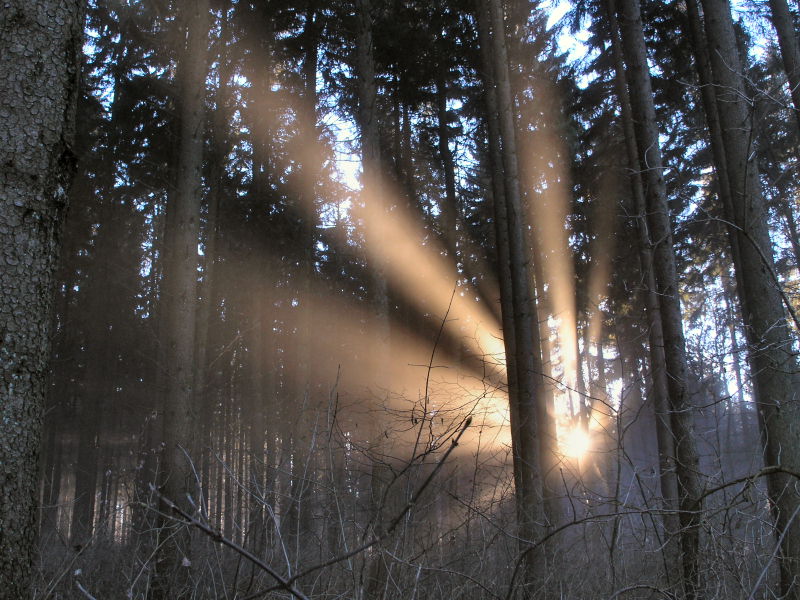 Aufziehender Nebel