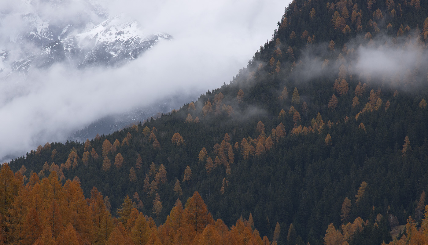 aufziehender Nebel