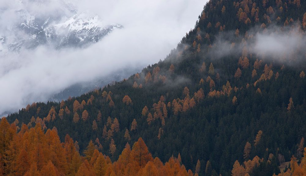 aufziehender Nebel