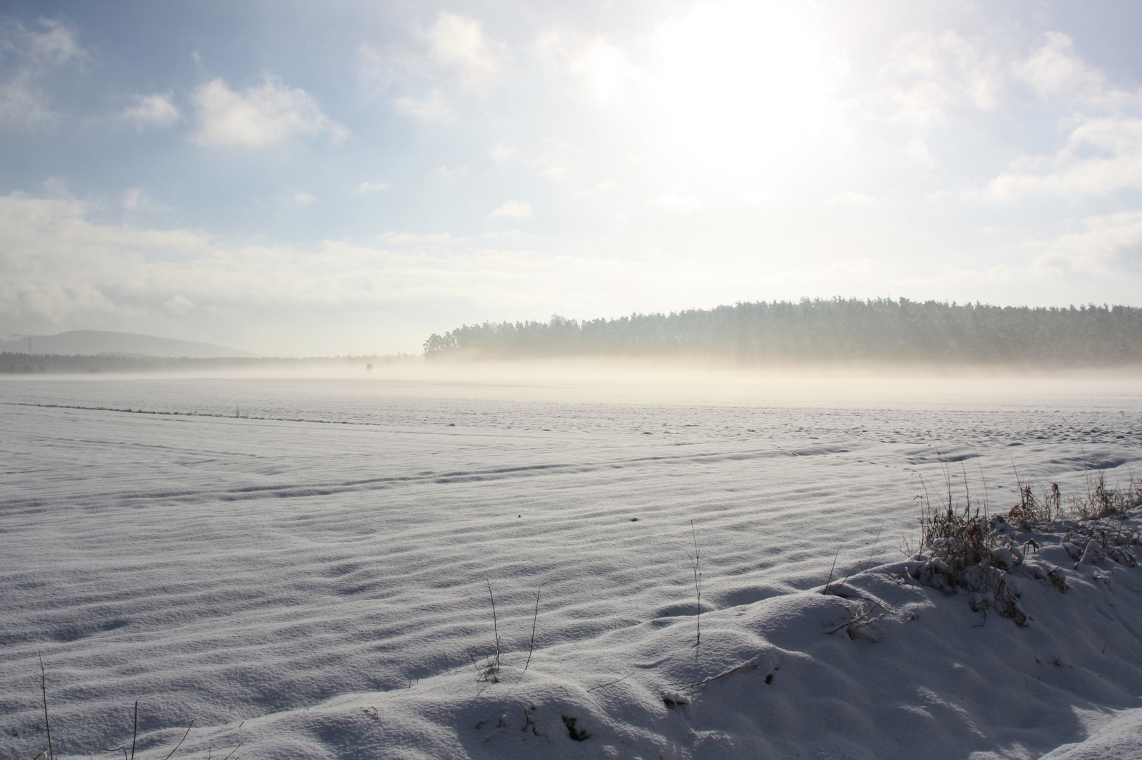 Aufziehender Nebel über den Wiesen