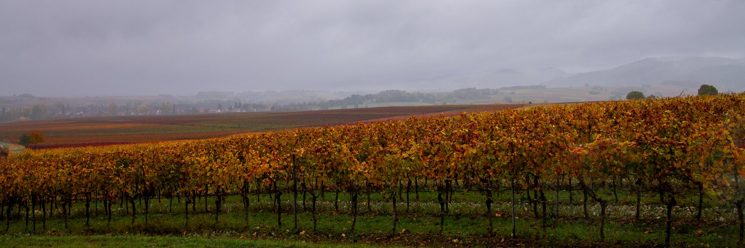 aufziehender Regenschauer