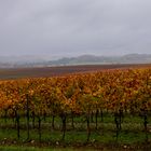 aufziehender Regenschauer