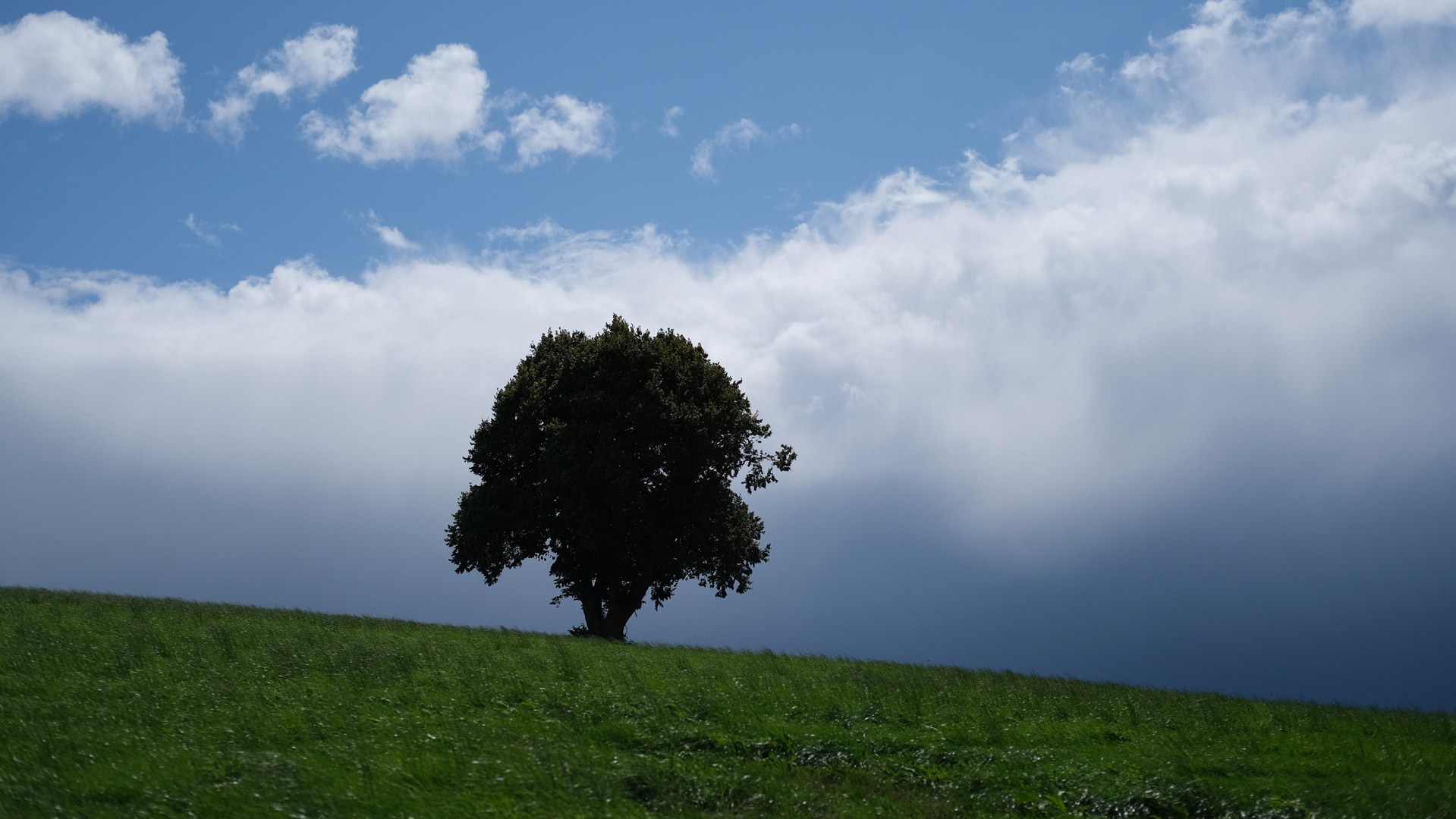 aufziehendes Gewitter