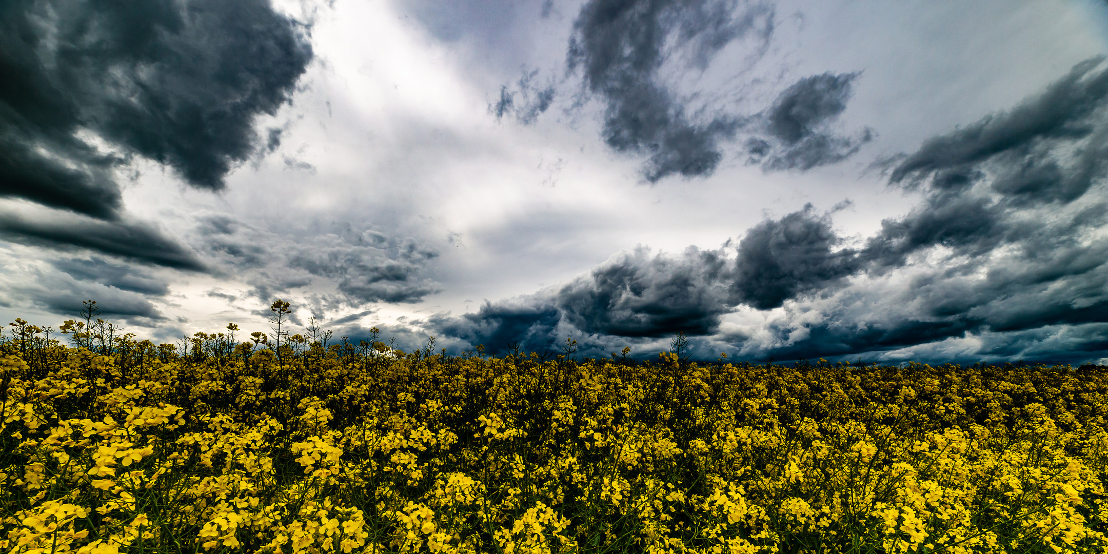 Aufziehendes Gewitter