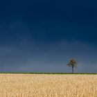 Aufziehendes Gewitter