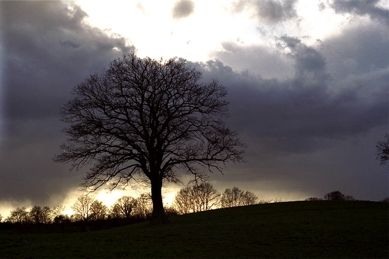 Aufziehendes Gewitter