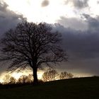 Aufziehendes Gewitter