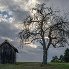 . . . aufziehendes Gewitter