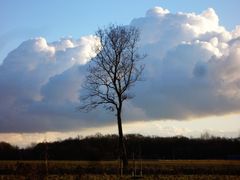 Aufziehendes Gewitter im Februar 2009 über Münster