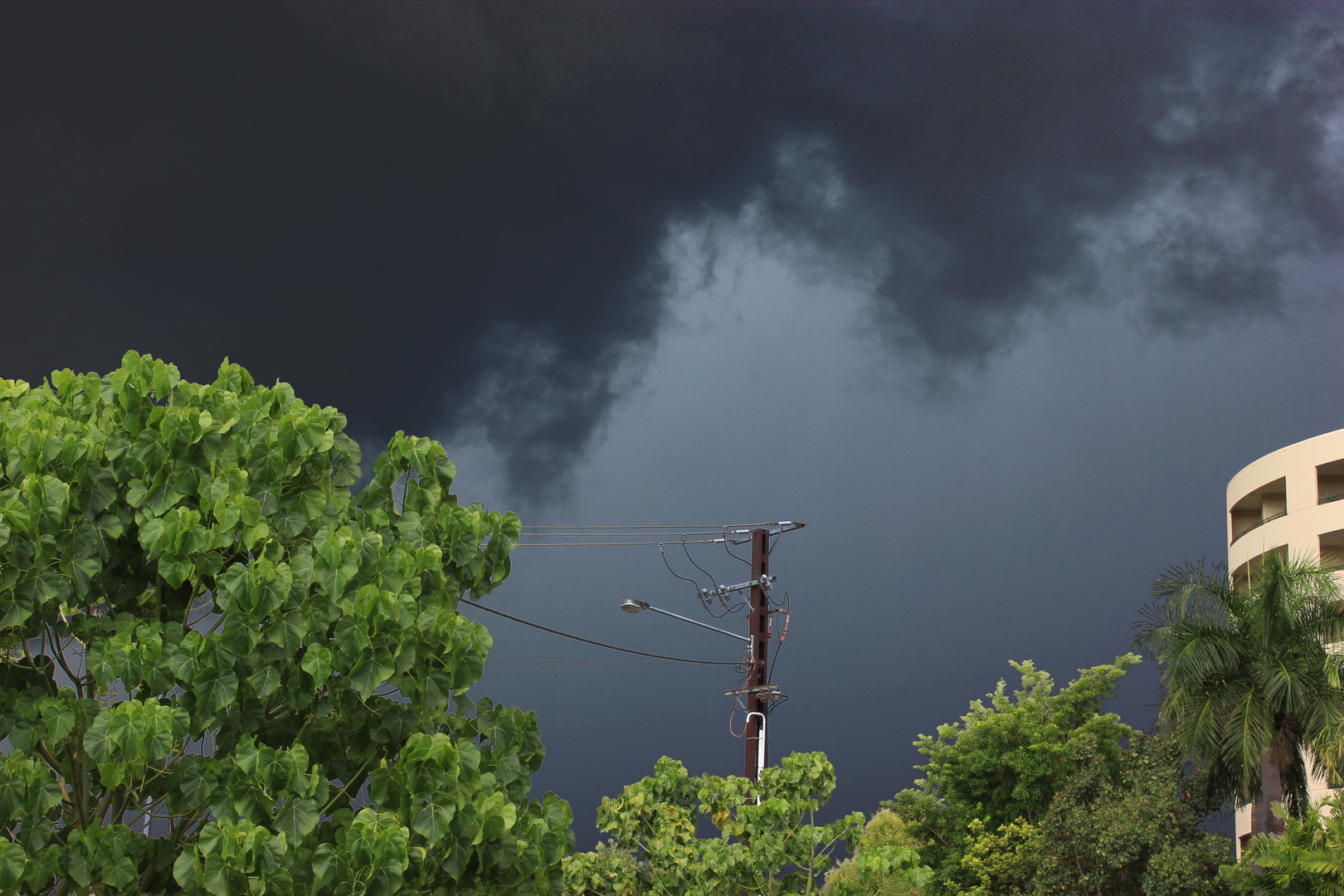 Aufziehendes Gewitter, The Gardens, Darwin, Northern Territory, Australien II