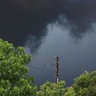 Aufziehendes Gewitter, The Gardens, Darwin, Northern Territory, Australien II