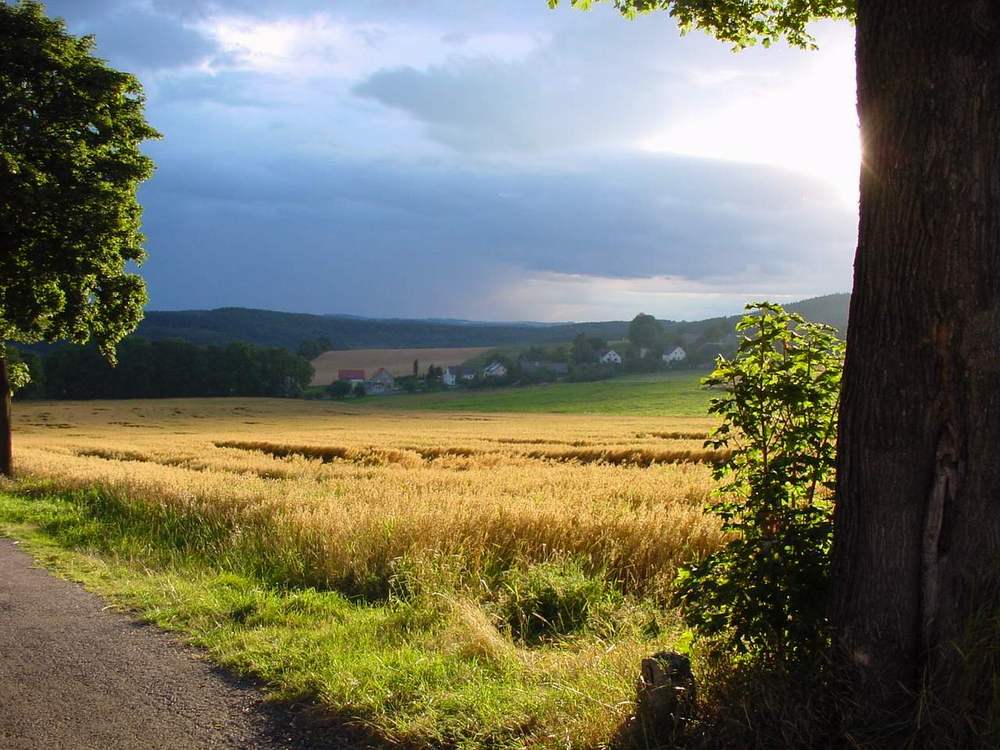 aufziehendes Sommergewitter