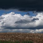 Aufziehendes Unwetter