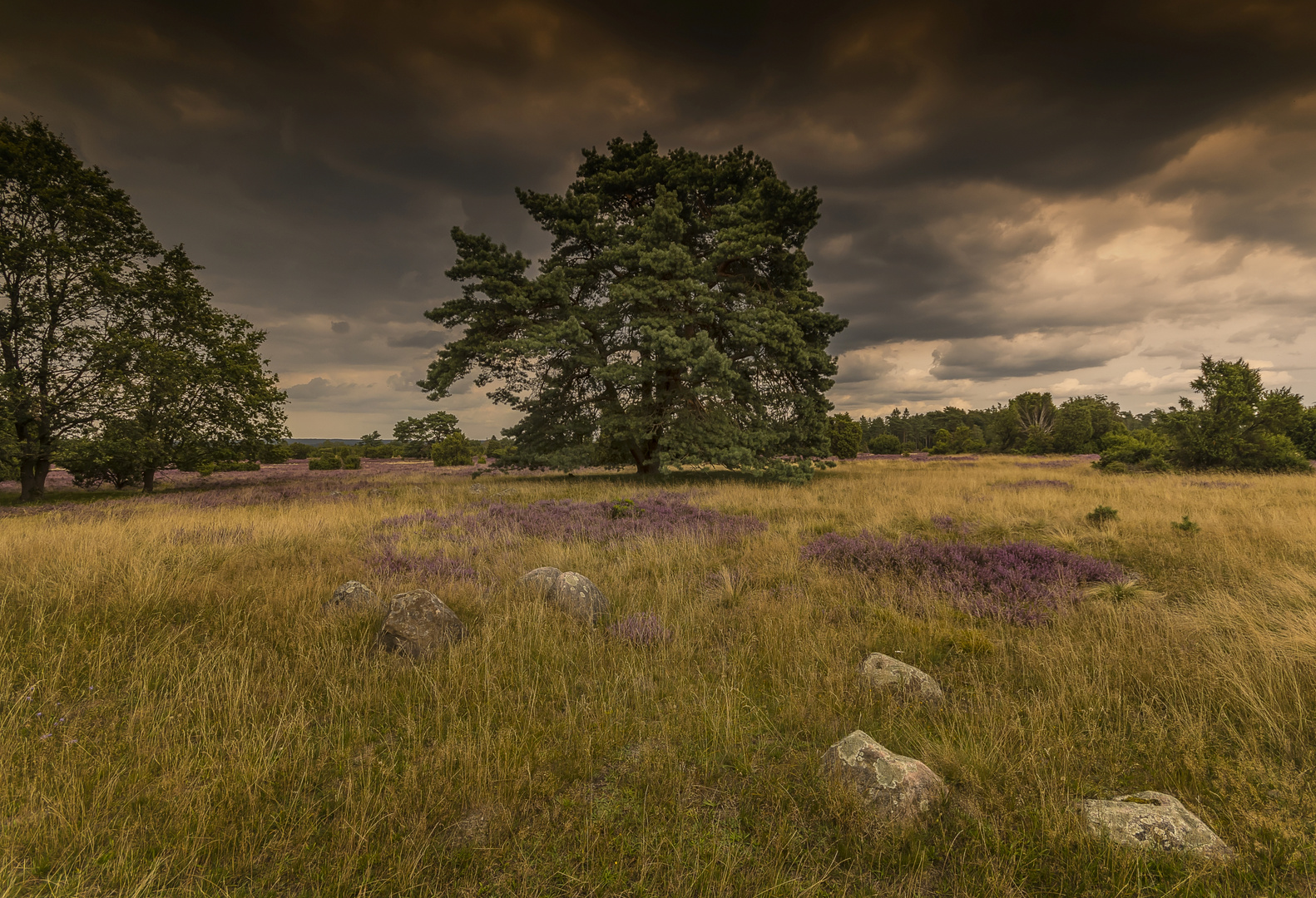 Aufziehendes Wetter in der Heide