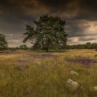 Aufziehendes Wetter in der Heide