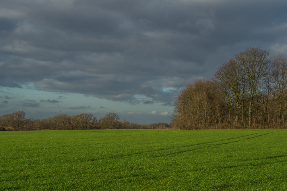 Aufzug der Wolken