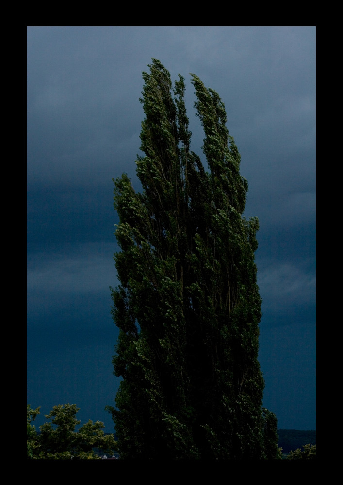 Aufzug eines Gewitters am Bodensee