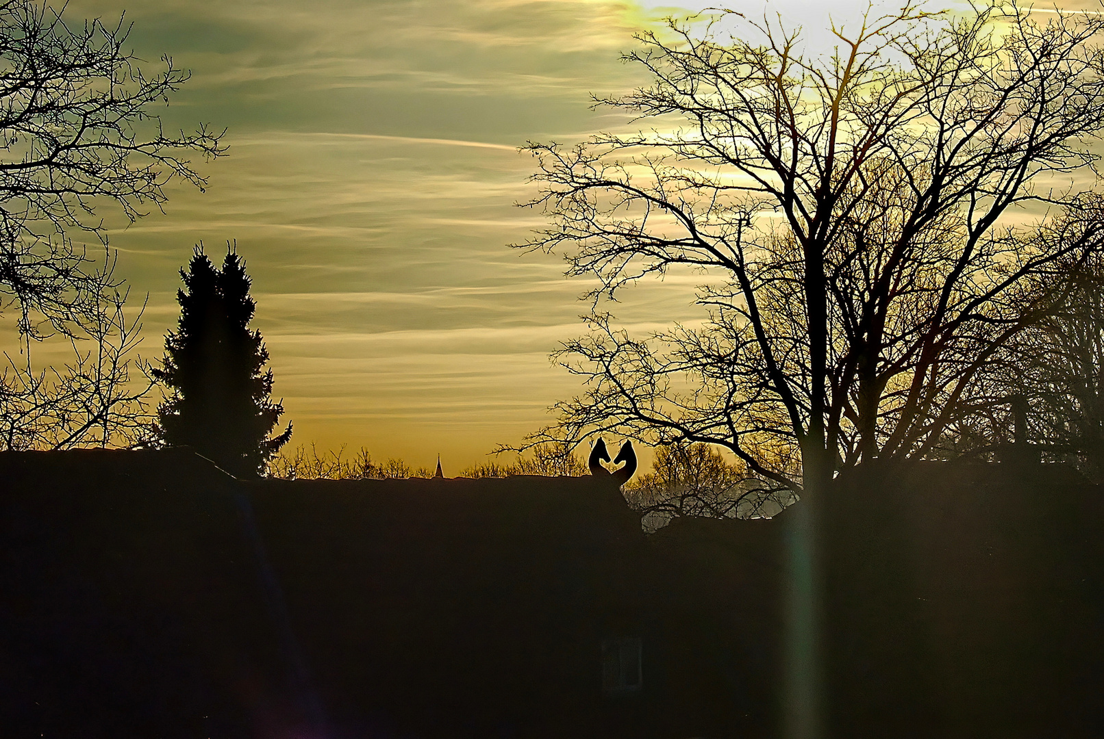 Aug‘ in Auge im Sonnenaufgang