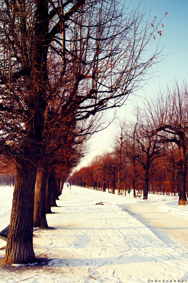 Augarten im Winter - Wien