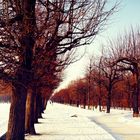 Augarten im Winter - Wien