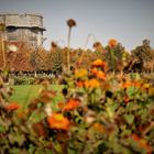 Augarten Wien