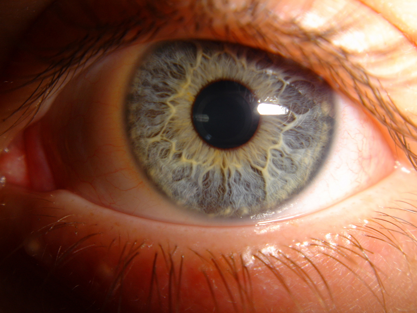 Bild Auge Kostenlos: The Ultimate Guide to Unlocking Your Artistic Potential