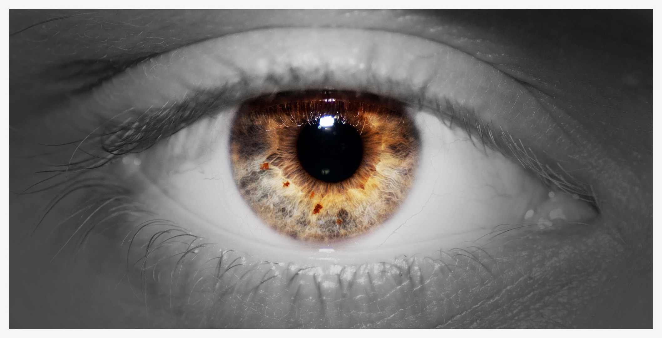 Auge #3