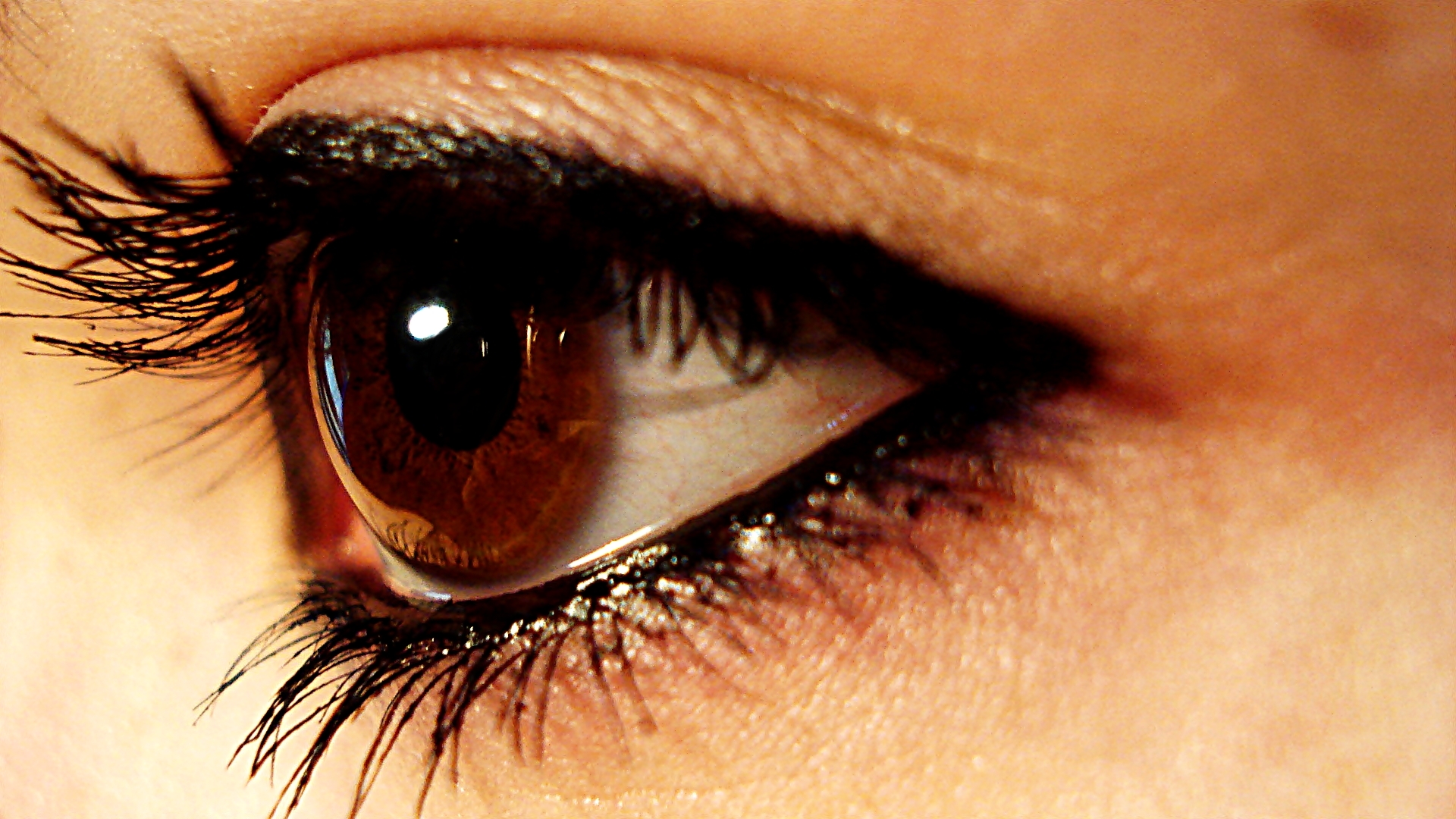 Die Magie des Gärtnerns auf kleinem Raum