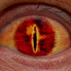 Auge feuer