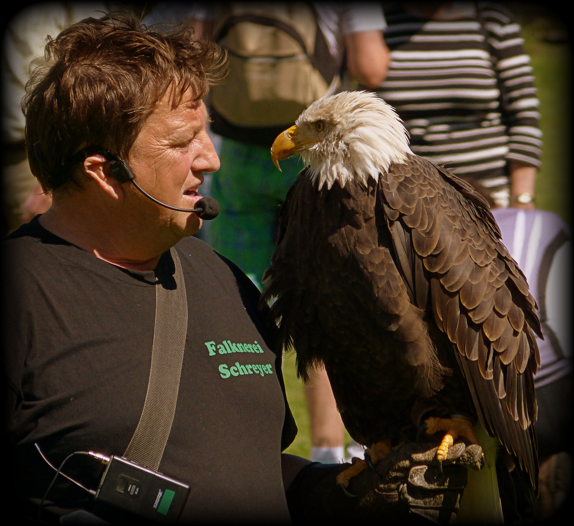 Auge in Auge bei der Flugshow