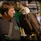 Auge in Auge bei der Flugshow