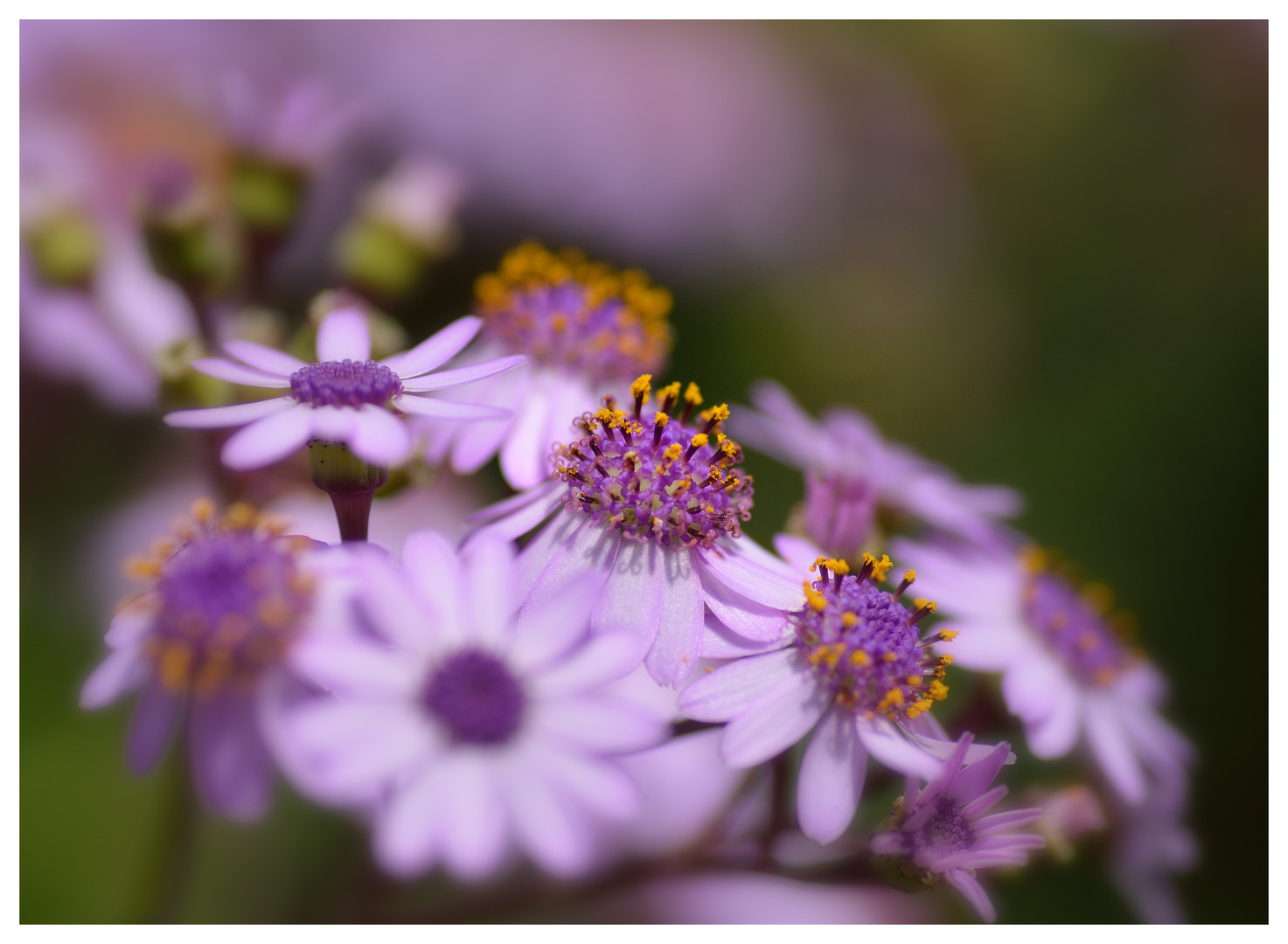 Auge in Auge mit der Natur