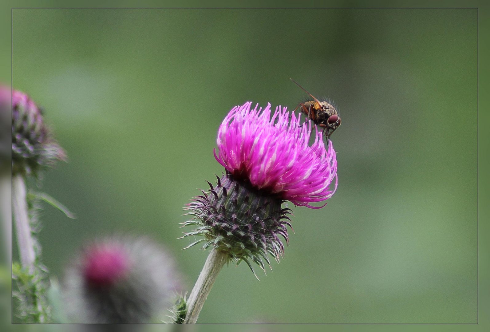 Auge in Auge mit der Natur