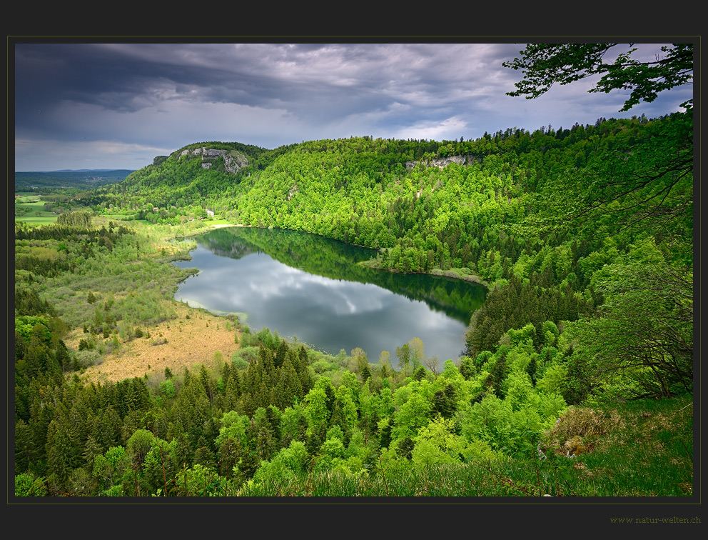 Auge in der Landschaft