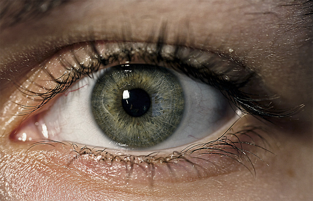 Auge um Auge... Foto & Bild archiv kritik am bild, kritik am bild