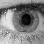 Auge3