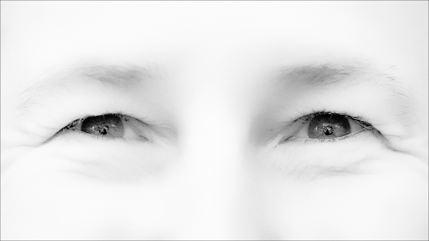 Augen